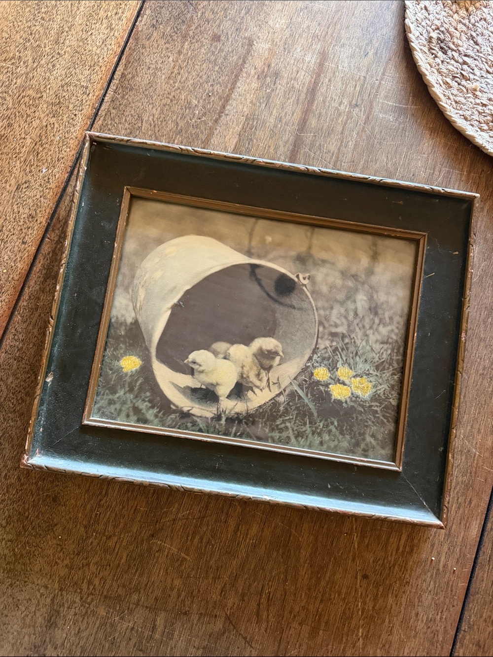 Antique framed print of chicks in bucket cottage farm rustic